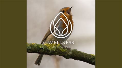 Image result for Relaxing Tree Sounds