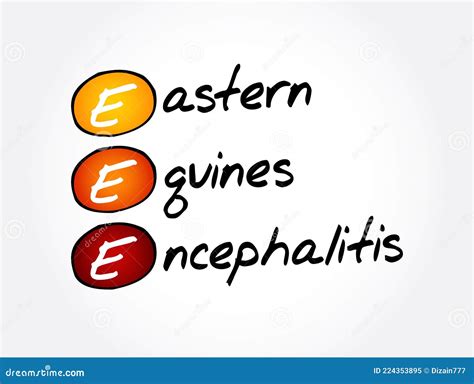 EEE - Eastern Equine Encephalitis Acronym, Medical Concept Background Royalty-Free Stock ...
