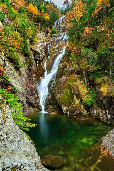 Ammonoosuc Campground New Hampshire: Camping Reservations & Rates