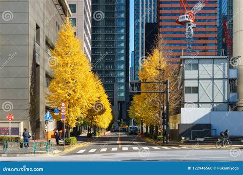 日本东京秋叶 编辑类图片. 图片 包括有 æ—…è¡œ, èƒœåœ…, ç»æž„æ, å ¶å­ - 122946560