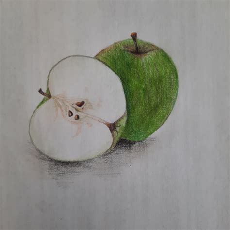 How To Draw Observational Drawings