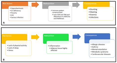 Effects of Malnutrition on the Immune System and Infection and the Role ...