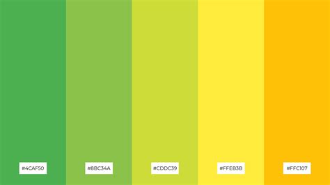 The Best 15 Sports Color Palette Combinations