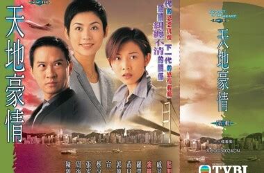 天地豪情（1998年羅嘉良、陳錦鴻主演TVB電視劇）_百度百科