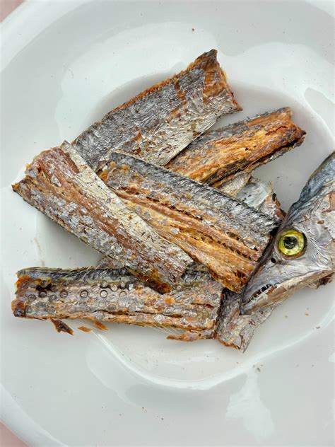 India's First Species-Appropriate Pet Food - Canine India