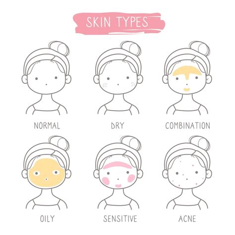 Skin Types 的图像结果