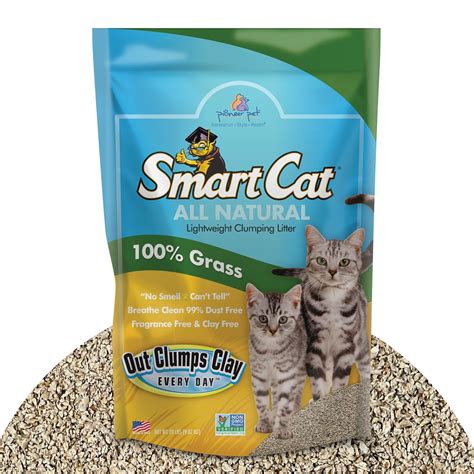 All Natural Clumping Cat Litter, 20 Pound (320oz 1 pack) - Alternative ...