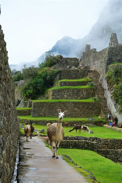 Ultimate Guide to Cusco Peru: Top Attractions, Travel Tips And More ...