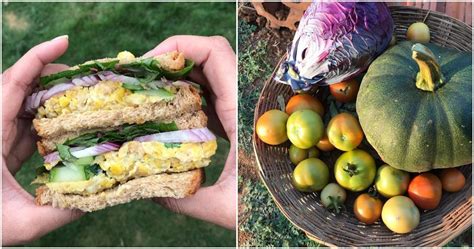 Savor the Green Bounty: Must-Visit Organic Farms to Table Experiences ...