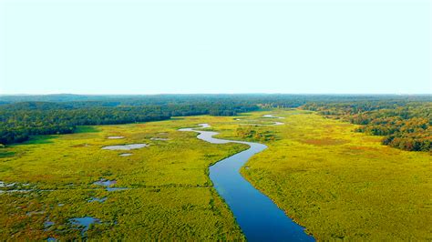 Alien Baby Movie 的图像结果