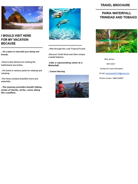 Image result for Informational Brochure Example