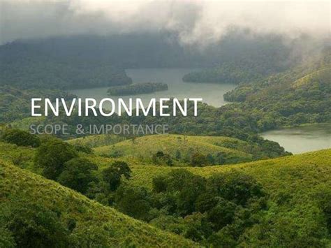 Environment Types 的图像结果