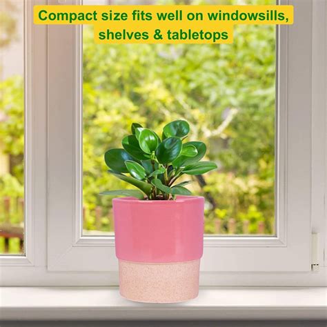 Buy Ecofynd 1 Pink Ceramic Plant Pots Online
