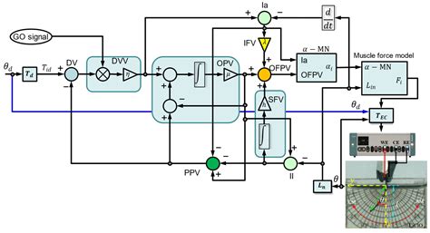 Simultaneous Sensing and Actuating Capabilities of a Triple-Layer ...