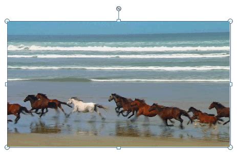 Image result for PowerPoint Rotation