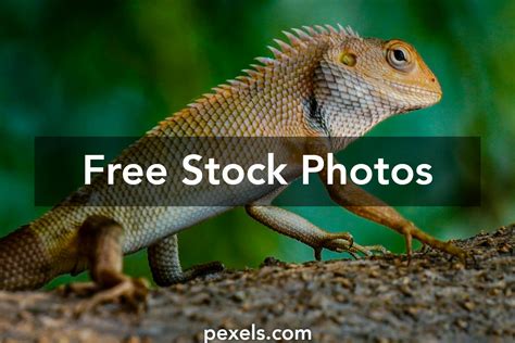 Minecraft PC Torrent 的图像结果