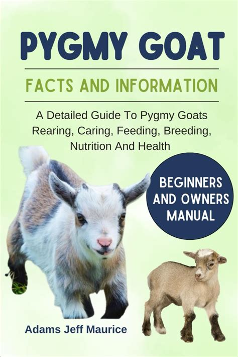 Buy Pygmy Goat: A Detailed Guide To Pygmy Goats Rearing, Caring ...
