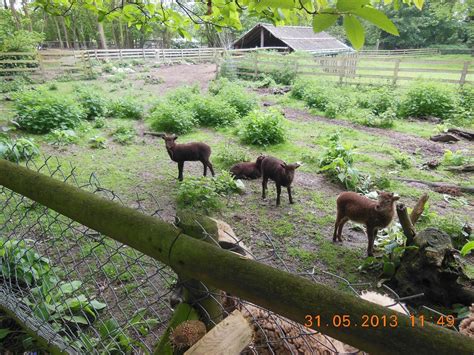 Blean Tourism (2023): Best of Blean, England - Tripadvisor