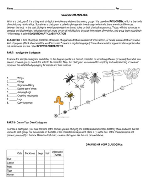 Image result for Building a Cladogram Activity