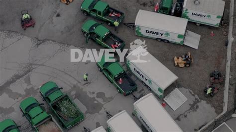 Davey Tree Service 的图像结果