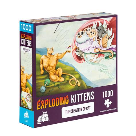 Image result for Exploding Kittens Puzzle