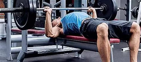 Warning Sign Exercise 的图像结果