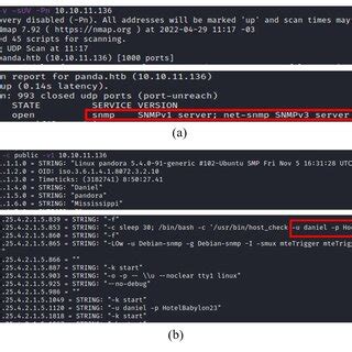 Nmap UDP Scan 的图像结果
