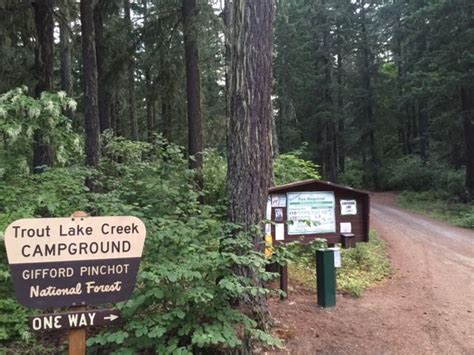 Trout Lake Creek Campground Washington: Reserve Your Spot Now