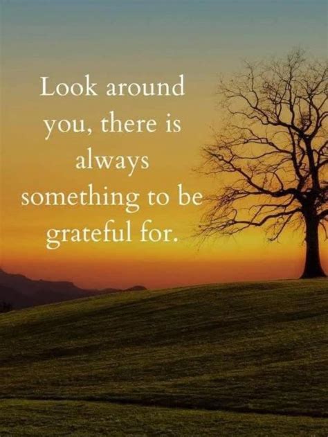 Wujek - Calcaterra & Sons | Shelby Charter Township MI