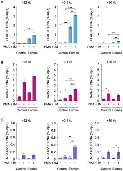 Small Molecule Inhibitors Targeting Nuclear Factor κB Activation ...
