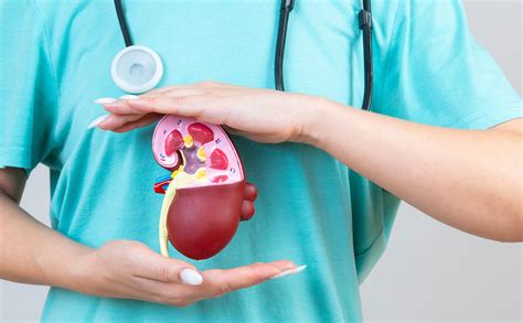 Diferencia entre la insuficiencia renal aguda y crónica