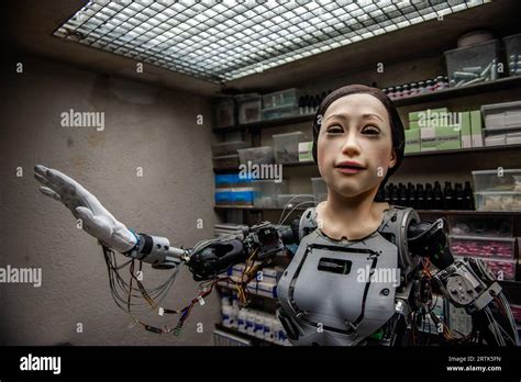 Human-Looking Robots 的图像结果