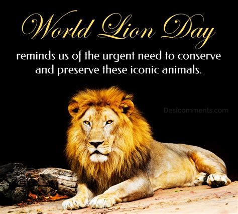 World Lion Day Reminds Us Of The Urgent Need To Conserve - DesiComments.com