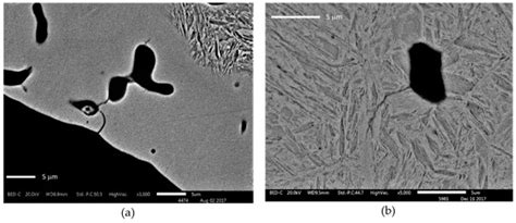 Tooth Root Bending Fatigue Strength of High-Density Sintered Small ...