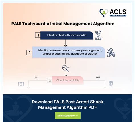 Image result for Pediatric Pals Algorithm