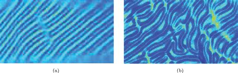 Diffusion Maps Pseudo-Time 的图像结果