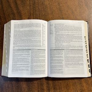 NLT Parallel Study Bible 的图像结果