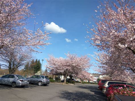 BRIGGS COMMUNITY YMCA - Olympia WA - Hours, Directions, Reviews ...