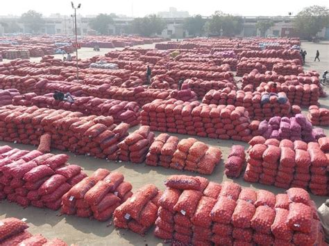 Gondal marketing yard recorded 70 thousand times onion revenue, long ...