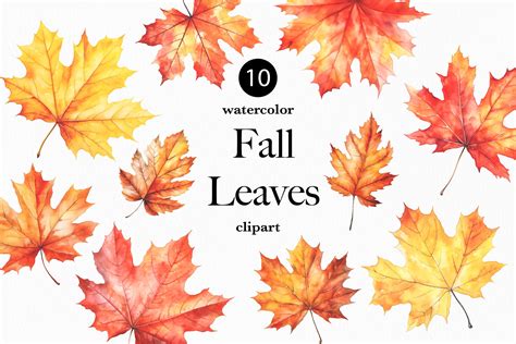 Maple Leaves Clip Art