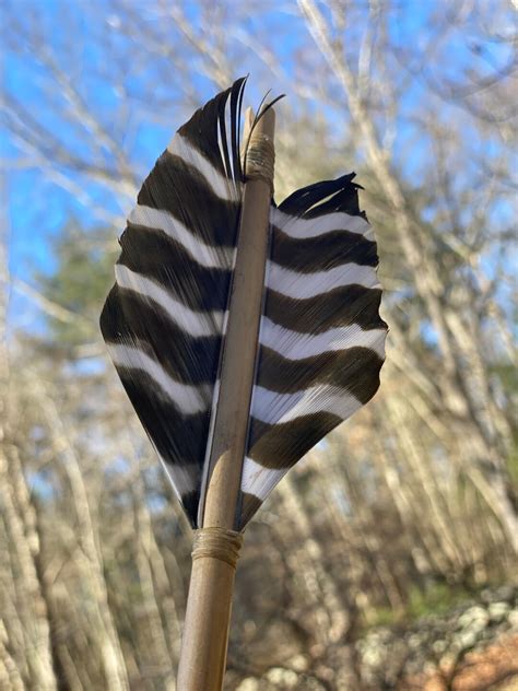 Image result for Primitive Arrows