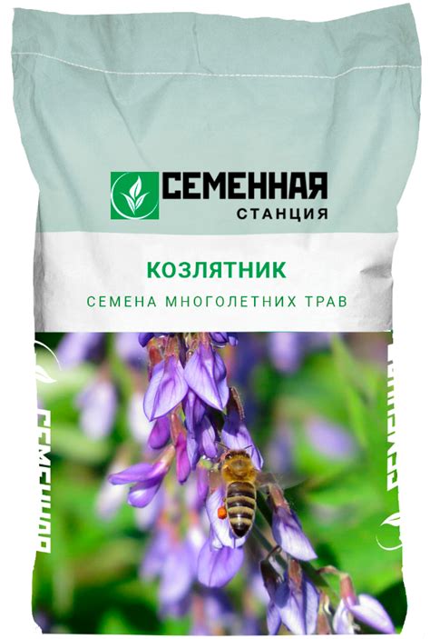 Купить семена многолетних трав - Семена люцерны, клевера, козлятника ...