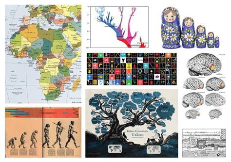 Human Origins Explained 的图像结果