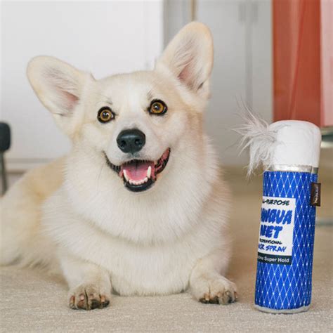 P.L.A.Y. 80's Classic Pawqua Net Dog Toy – Poudre Pet and Feed Supply