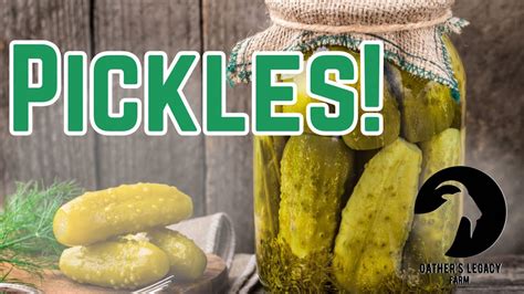 HowToBasic Pickles 的图像结果