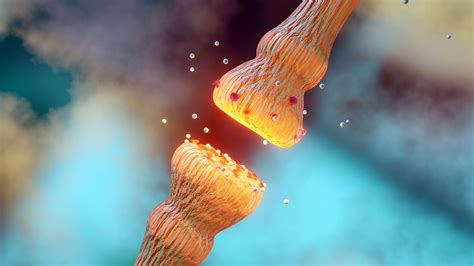 Medical News | Medpage Today