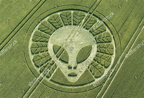 Alien DNA Crop Circle 的图像结果