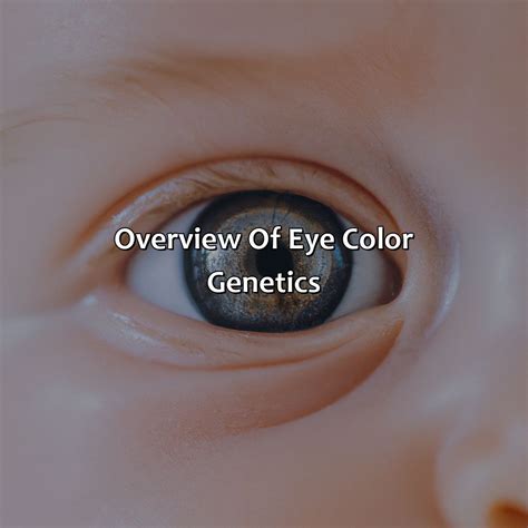 Baby Grey Eyes Turn What Color - colorscombo.com