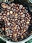 Nescafé Intenso Whole Roasted Coffee Beans, 1kg | Arabica and Robusta ...