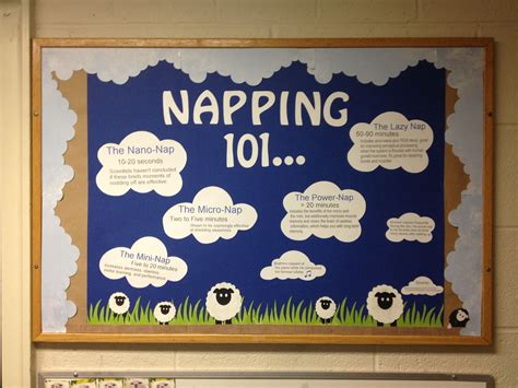 Resident Assistant Bulletin Boards